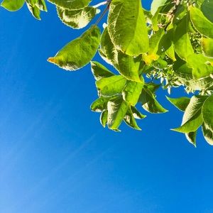 Meet your Posher, Haylee